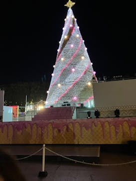 レオマリゾートに投稿された画像（2023/12/30）