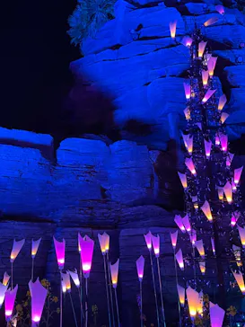 ひらかたパークに投稿された画像（2023/12/30）