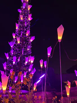 ひらかたパークに投稿された画像（2023/12/30）