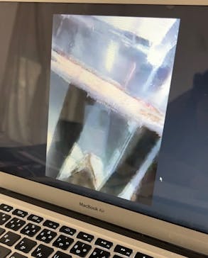 カワスイ 川崎⽔族館に投稿された画像（2023/12/30）