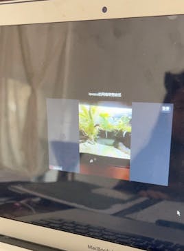 カワスイ 川崎⽔族館に投稿された画像（2023/12/30）