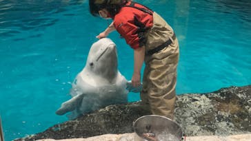 名古屋港水族館に投稿された画像（2023/12/30）