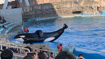 名古屋港水族館に投稿された画像（2023/12/30）