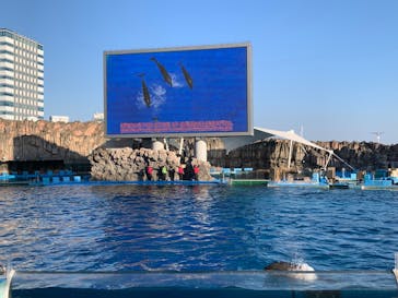 名古屋港水族館に投稿された画像（2023/12/30）