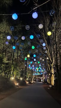 ムーミンバレーパークに投稿された画像（2023/12/30）