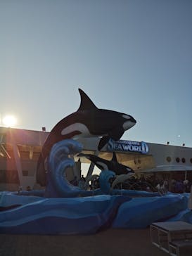 鴨川シーワールドに投稿された画像（2023/12/30）