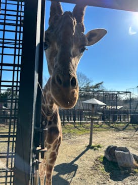 那須サファリパークに投稿された画像（2023/12/30）