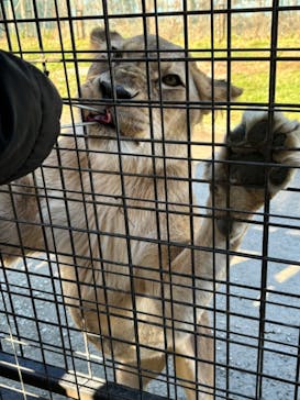 那須サファリパークに投稿された画像（2023/12/30）