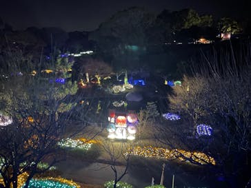 鹿児島イルミナージュに投稿された画像（2023/12/30）