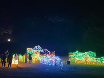 鹿児島イルミナージュに投稿された画像（2023/12/30）