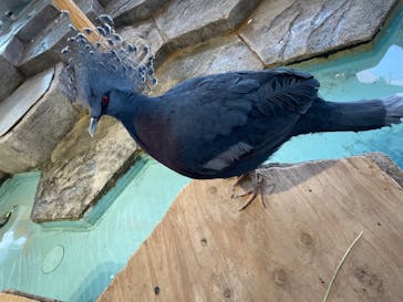 NIFREL（ニフレル）に投稿された画像（2023/12/30）