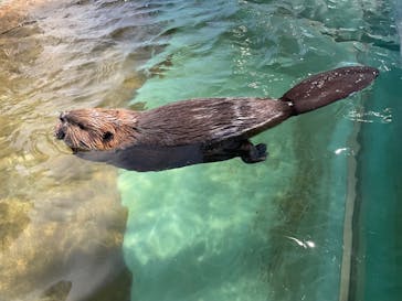 NIFREL（ニフレル）に投稿された画像（2023/12/30）