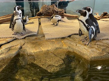 NIFREL（ニフレル）に投稿された画像（2023/12/30）