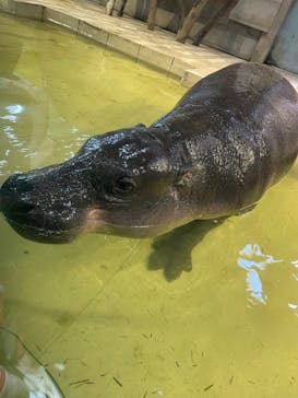 NIFREL（ニフレル）に投稿された画像（2023/12/30）