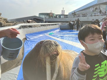 大分マリーンパレス水族館 「うみたまご」に投稿された画像（2023/12/30）