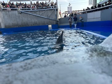 大分マリーンパレス水族館 「うみたまご」に投稿された画像（2023/12/30）