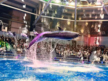 マクセル アクアパーク品川に投稿された画像（2023/12/30）