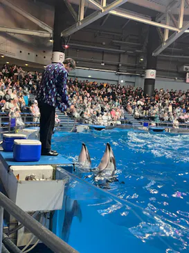 マクセル アクアパーク品川に投稿された画像（2023/12/30）