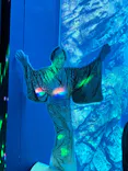 仙台うみの杜水族館に投稿された画像（2023/12/30）