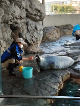 しながわ水族館に投稿された画像（2023/12/30）