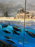 名古屋港水族館に投稿された画像（2023/12/30）