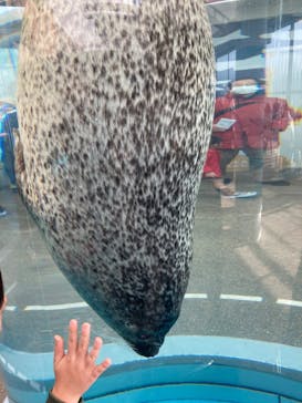 京都水族館に投稿された画像（2023/12/30）