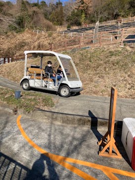 さがみ湖MORI MORIに投稿された画像（2023/12/30）