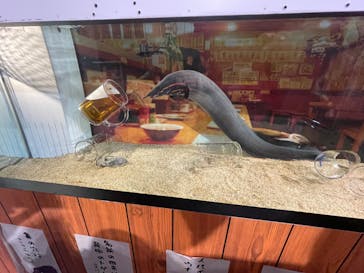 カワスイ 川崎⽔族館に投稿された画像（2023/12/30）