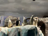 名古屋港水族館に投稿された画像（2023/12/30）
