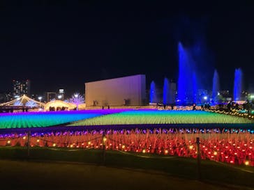 東京メガイルミに投稿された画像（2023/12/30）