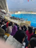 マリンワールド海の中道に投稿された画像（2023/12/30）