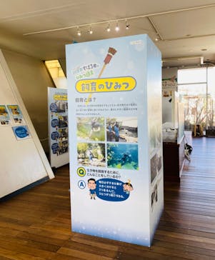 環境水族館アクアマリンふくしまに投稿された画像（2023/12/30）