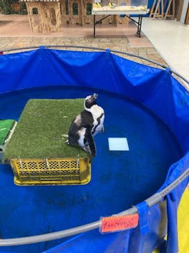 いきもの探検隊上尾に投稿された画像（2023/12/30）