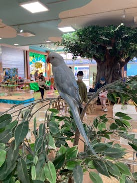 いきもの探検隊上尾に投稿された画像（2023/12/30）