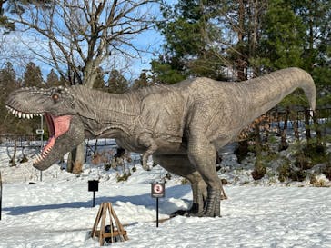 福井県立恐竜博物館に投稿された画像（2023/12/30）
