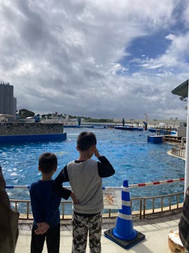 沖縄美ら海水族館（館内体験）に投稿された画像（2023/12/30）