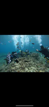 武藤潜水に投稿された画像（2023/12/30）