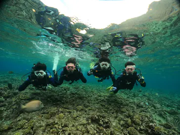 武藤潜水に投稿された画像（2023/12/30）