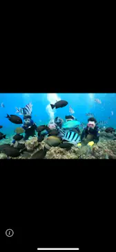 武藤潜水に投稿された画像（2023/12/30）