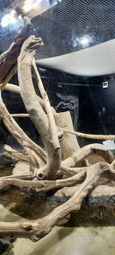 カワスイ 川崎⽔族館に投稿された画像（2023/12/30）