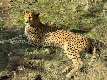 伊豆アニマルキングダムに投稿された画像（2023/12/30）