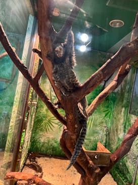 伊豆シャボテン動物公園に投稿された画像（2023/12/30）