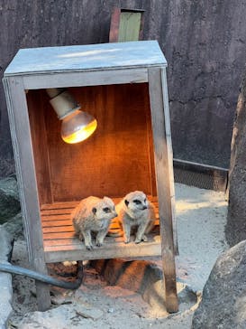 伊豆シャボテン動物公園に投稿された画像（2023/12/30）