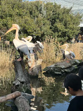 神戸どうぶつ王国に投稿された画像（2023/12/30）