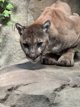 神戸どうぶつ王国に投稿された画像（2023/12/30）