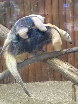 神戸どうぶつ王国に投稿された画像（2023/12/30）