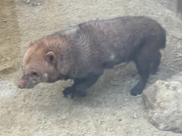 神戸どうぶつ王国に投稿された画像（2023/12/30）