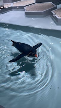 AOAO SAPPOROに投稿された画像（2023/12/30）