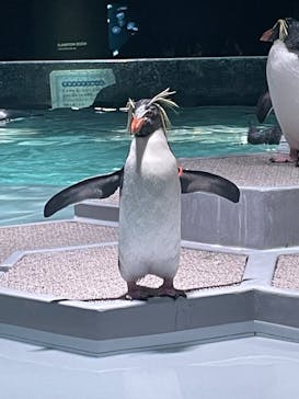 AOAO SAPPOROに投稿された画像（2023/12/30）