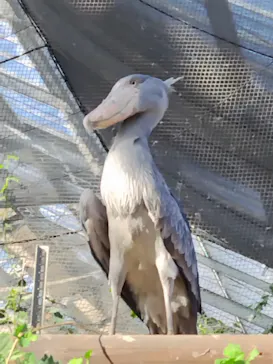 神戸どうぶつ王国に投稿された画像（2023/12/30）